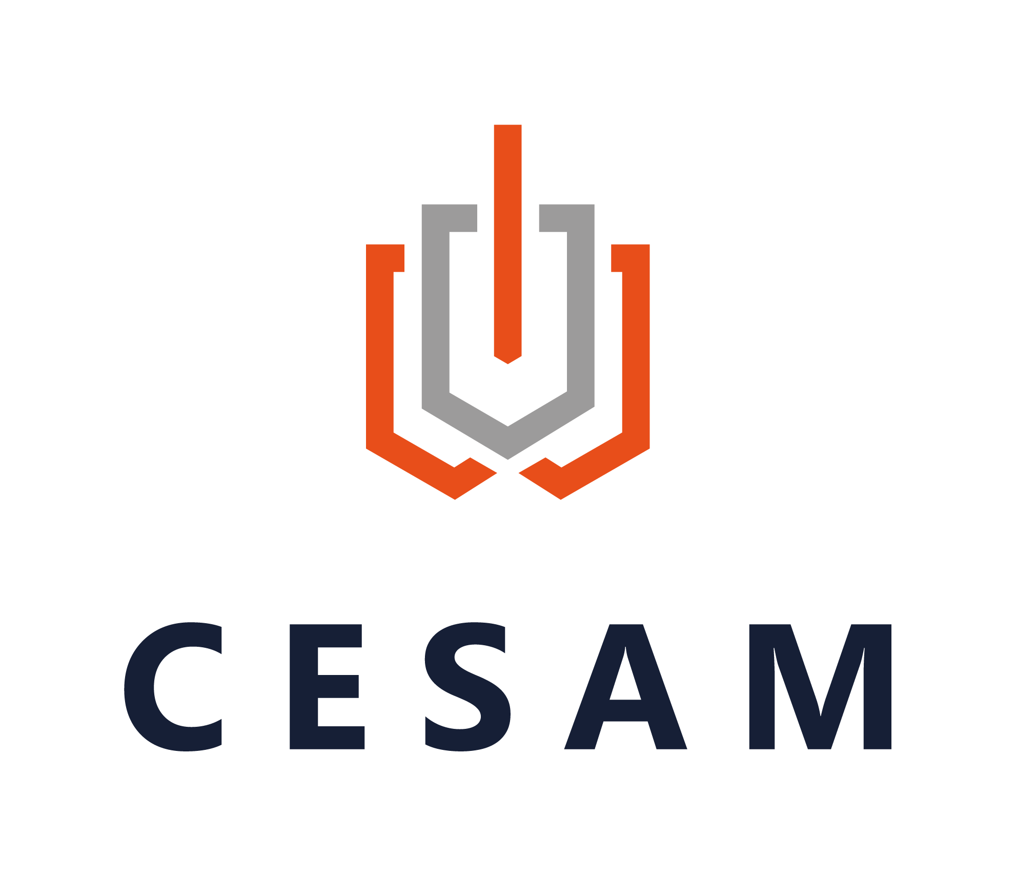 CESAM logo